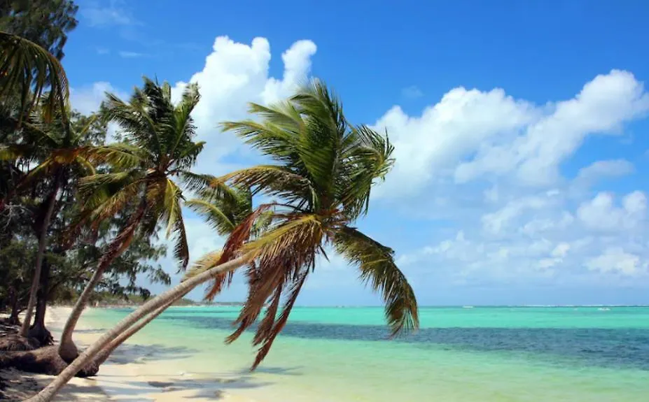 Lägenhet El Dorado Condo 208A Punta Cana Dominikanska republiken